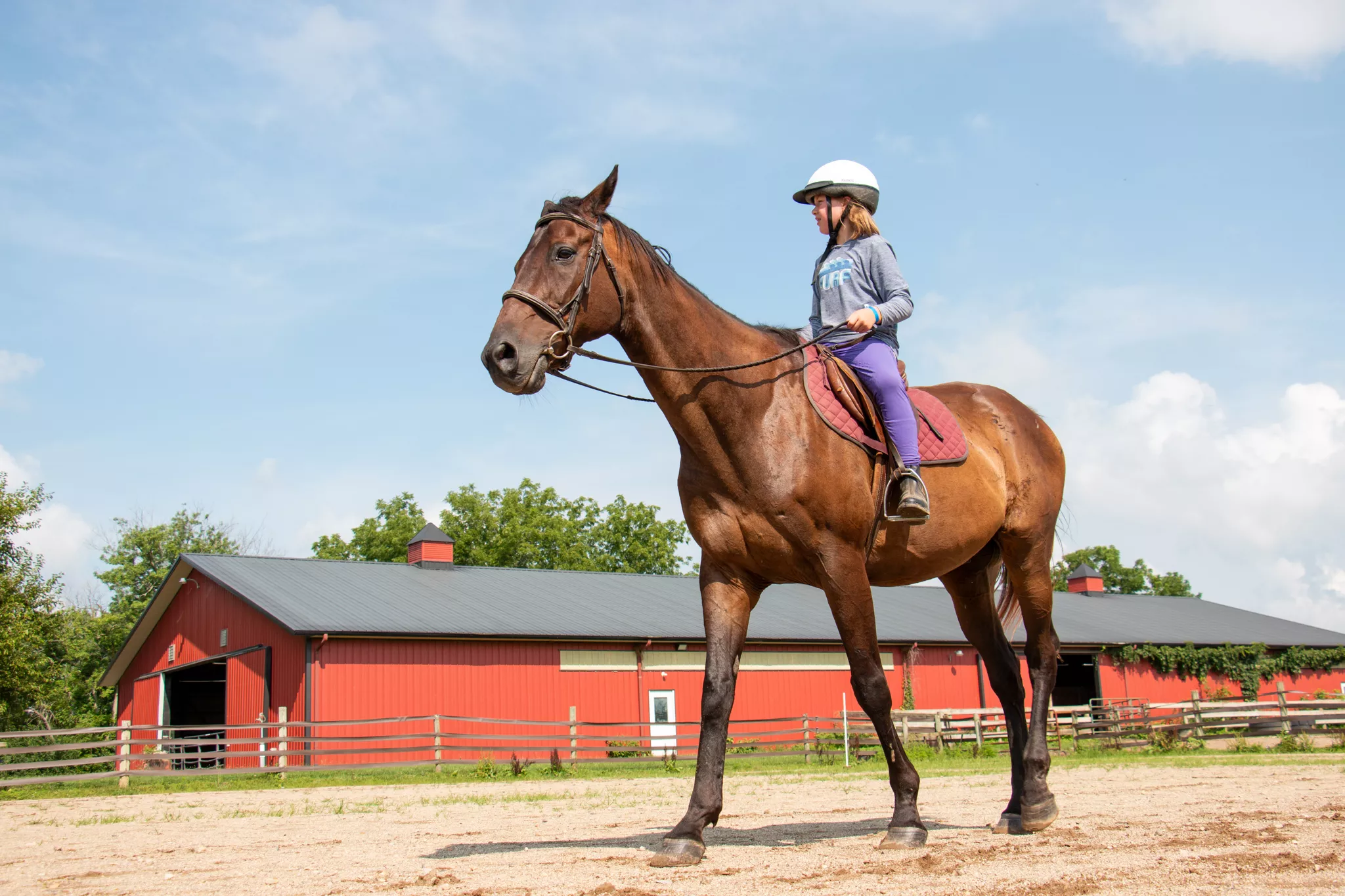 Programs what makes up Great Camp Willson 2025